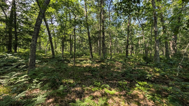 V/L Stark Rd, Free Soil, MI 49411 - photo 4