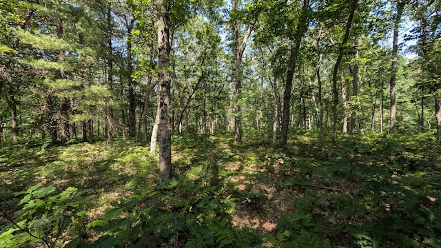 V/L Stark Rd, Free Soil, MI 49411 - photo 6