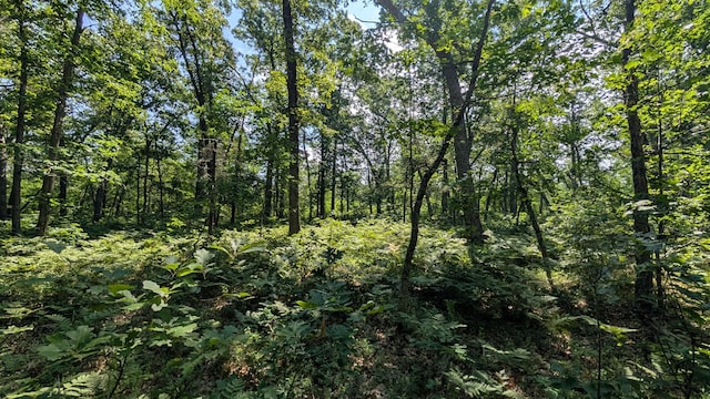 V/L Stark Rd, Free Soil, MI 49411 - photo 7