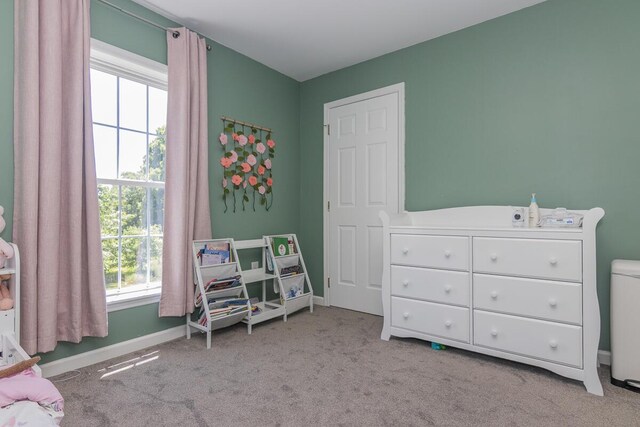 22581 Bluejay Ave, Mattawan, MI 49071 - photo 34