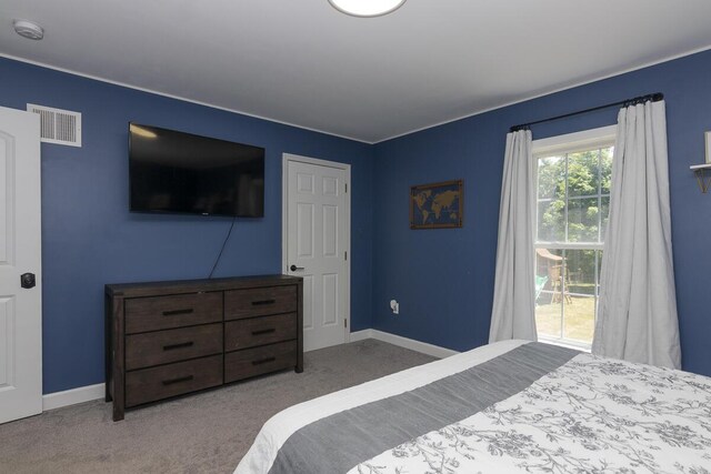 22581 Bluejay Ave, Mattawan, MI 49071 - photo 21