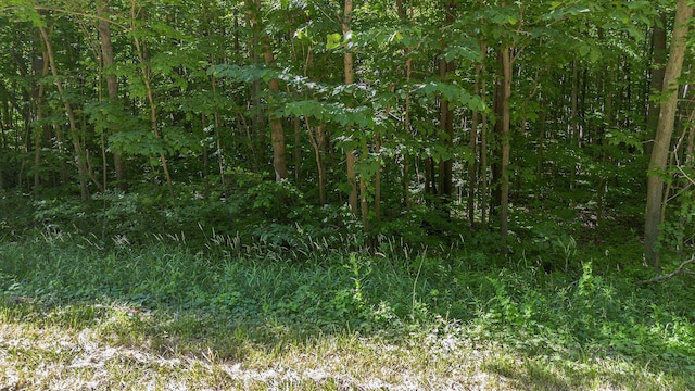 V/L 18th Ave, Grand Junction, MI 49056