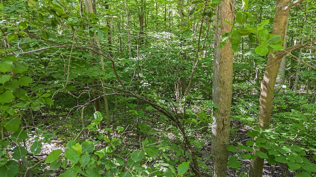 V/L 18th Ave, Grand Junction, MI 49056