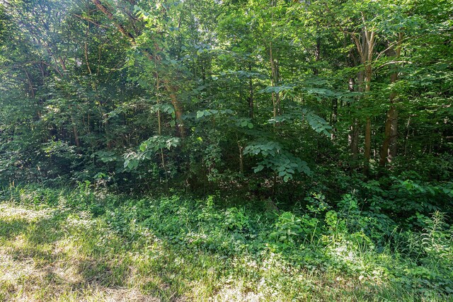 V/L 18th Ave, Grand Junction, MI 49056