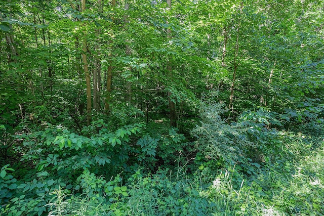 V/L 18th Ave, Grand Junction, MI 49056