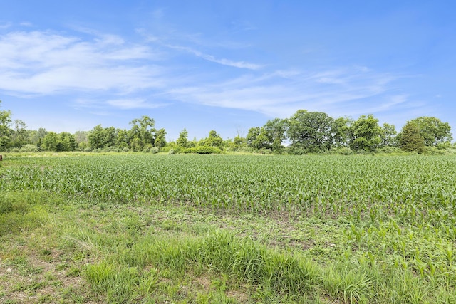 9820 S Bagley Rd, Ashley, MI 48806 - photo 6