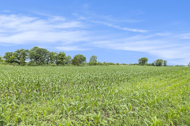 9820 S Bagley Rd, Ashley, MI 48806 - photo 8