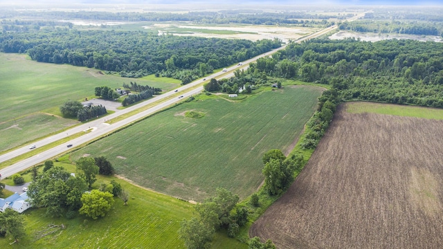 9820 S Bagley Rd, Ashley, MI 48806 - photo 18