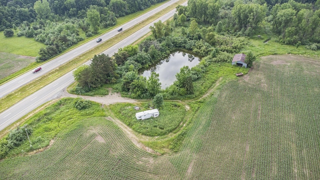 9820 S Bagley Rd, Ashley, MI 48806 - photo 19