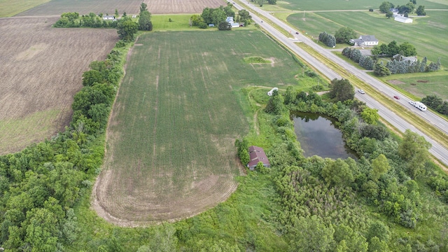 9820 S Bagley Rd, Ashley, MI 48806 - photo 20