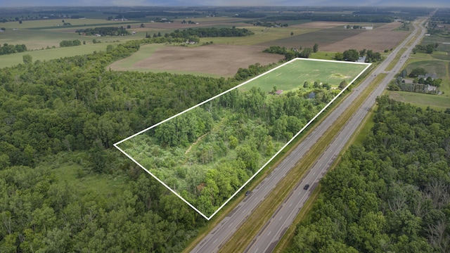 9820 S Bagley Rd, Ashley, MI 48806 - photo 21