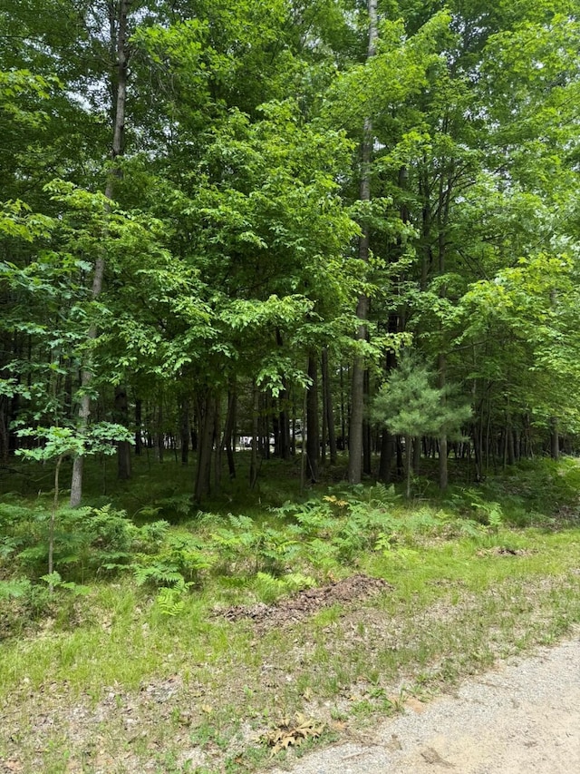 6823 Beechnut Rdg, Stanwood, MI 49346