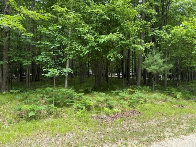 6823 Beechnut Rdg, Stanwood, MI 49346