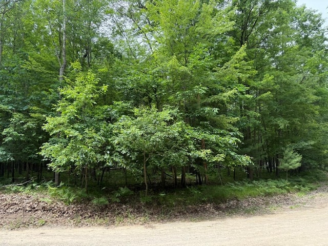 6823 Beechnut Rdg, Stanwood, MI 49346