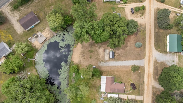 8952 Otterside Dr, Farwell, MI 48622