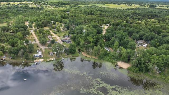 8952 Otterside Dr, Farwell, MI 48622
