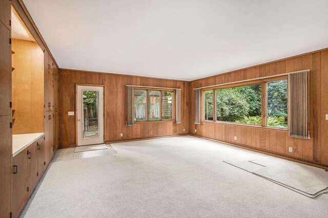 2425 University Ave, Kalamazoo, MI 49008 - unfurnished room with wooden walls and light carpet