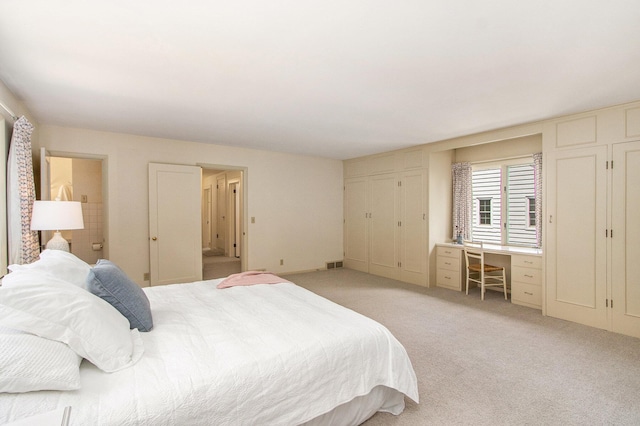 2425 University Ave, Kalamazoo, MI 49008 - bedroom featuring built in study area, light carpet, and multiple closets