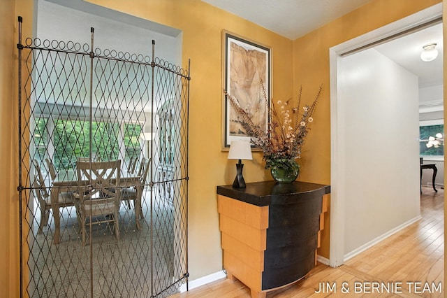 8518 146th Ave, West Olive, MI 49460 - corridor with light wood finished floors and baseboards
