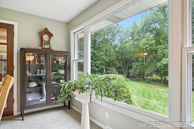 8518 146th Ave, West Olive, MI 49460 - entryway featuring carpet and baseboards