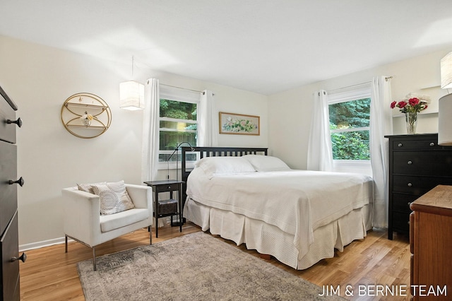 8518 146th Ave, West Olive, MI 49460 - bedroom with multiple windows and light wood-type flooring