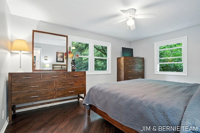 8518 146th Ave, West Olive, MI 49460 - bedroom with dark wood finished floors, multiple windows, and ceiling fan