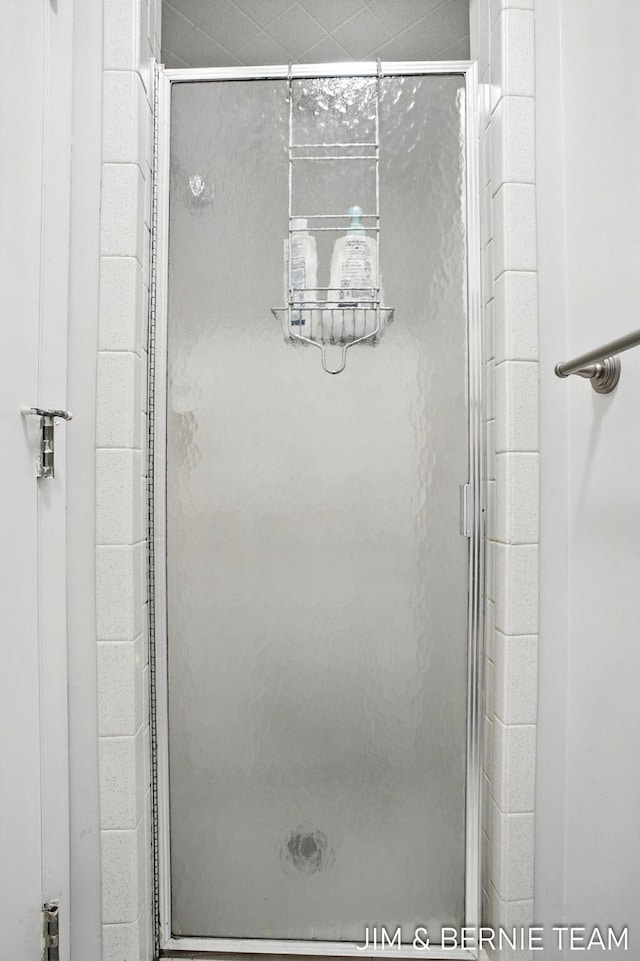 8518 146th Ave, West Olive, MI 49460 - bathroom featuring a stall shower