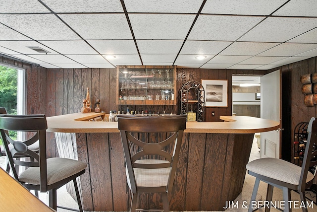 8518 146th Ave, West Olive, MI 49460 - indoor wet bar with wood walls, a drop ceiling, and carpet floors