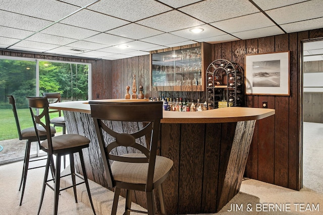 8518 146th Ave, West Olive, MI 49460 - indoor dry bar with carpet floors, wood walls, and a paneled ceiling