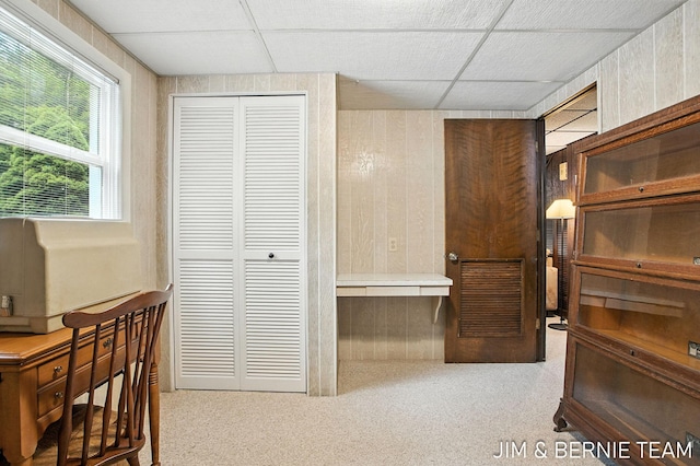 8518 146th Ave, West Olive, MI 49460 - walk in closet with carpet and a drop ceiling