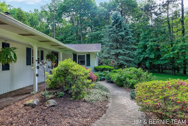 8518 146th Ave, West Olive, MI 49460 - view of yard