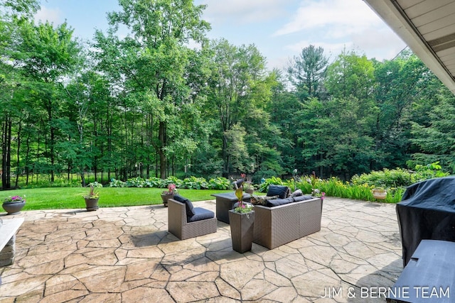 8518 146th Ave, West Olive, MI 49460 - view of patio with outdoor lounge area and grilling area
