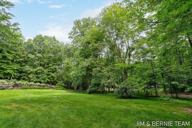 8518 146th Ave, West Olive, MI 49460 - view of grassy yard