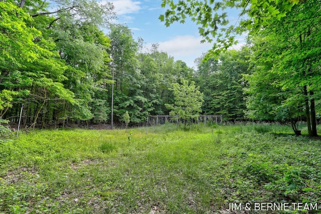 8518 146th Ave, West Olive, MI 49460 - view of yard featuring a forest view