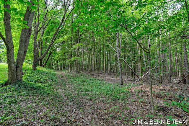 8518 146th Ave, West Olive, MI 49460 - view of tree filled area
