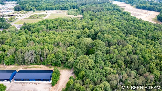 8518 146th Ave, West Olive, MI 49460 - aerial view of a heavily wooded area