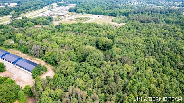 8518 146th Ave, West Olive, MI 49460 - bird's eye view of a forest