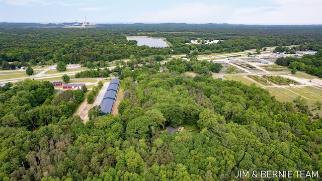 8518 146th Ave, West Olive, MI 49460 - drone / aerial view of a forest