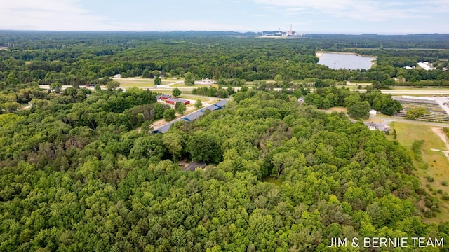 8518 146th Ave, West Olive, MI 49460 - bird's eye view of a heavily wooded area