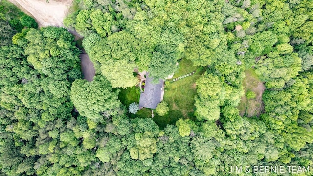 8518 146th Ave, West Olive, MI 49460 - aerial view of property and surrounding area