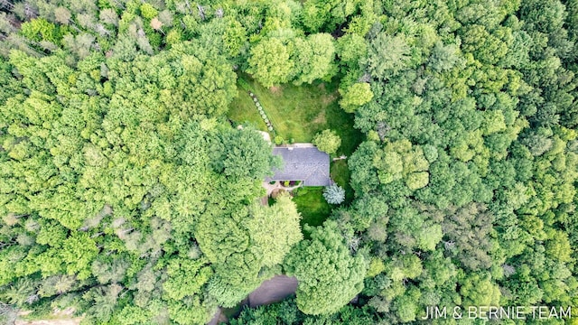 8518 146th Ave, West Olive, MI 49460 - aerial view of property's location
