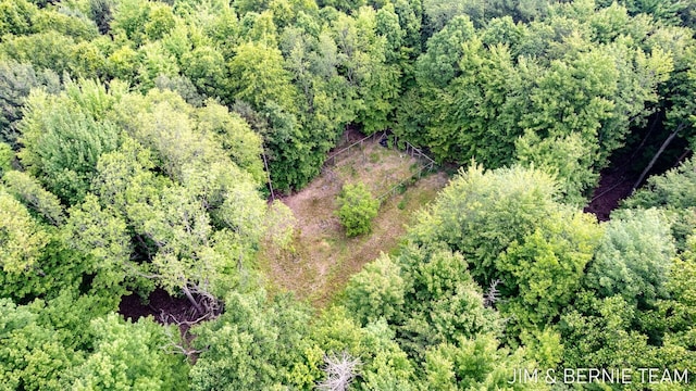 8518 146th Ave, West Olive, MI 49460 - aerial view of a heavily wooded area