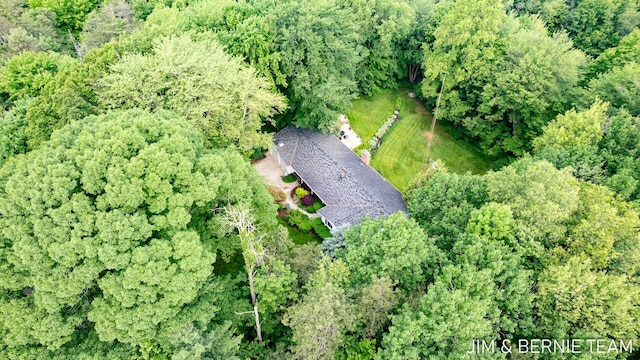 8518 146th Ave, West Olive, MI 49460 - aerial overview of property's location with a forest