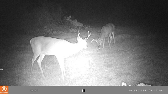 VL-A E Sternberg Road, Fruitport, MI 49415 - photo 6