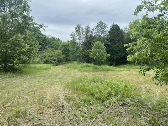 VL-A E Sternberg Road, Fruitport, MI 49415 - photo 4