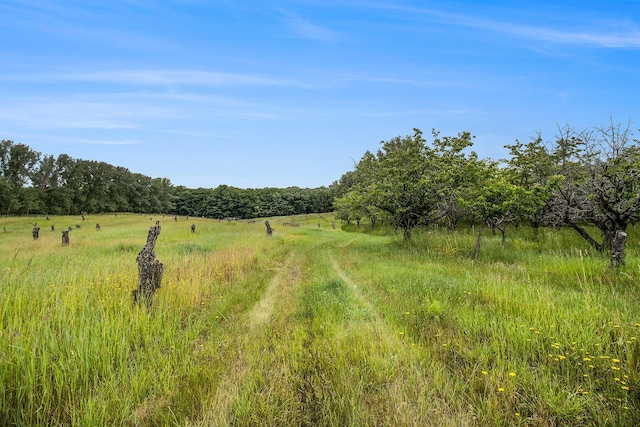 6.24ACRES W Tyler Rd, Mears, MI 49436 - photo 4
