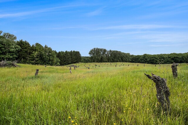 6.24ACRES W Tyler Rd, Mears, MI 49436 - photo 3