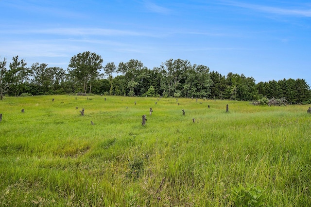 6.24ACRES W Tyler Rd, Mears, MI 49436 - photo 2
