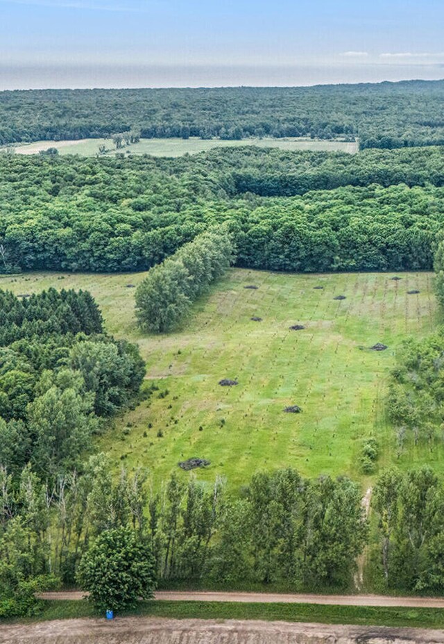6.24ACRES W Tyler Rd, Mears, MI 49436 - photo 5