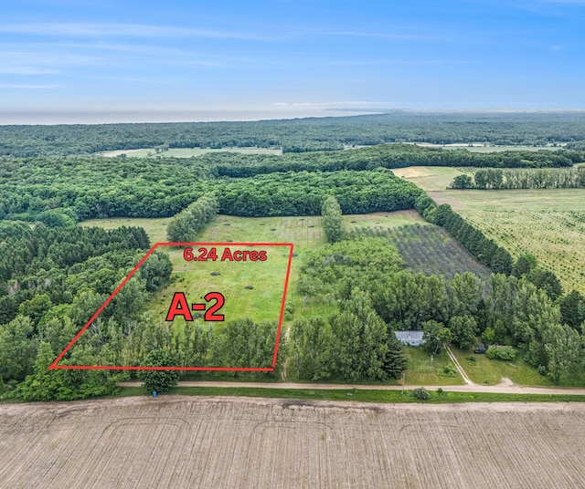 6.24ACRES W Tyler Rd, Mears, MI 49436 - photo 1